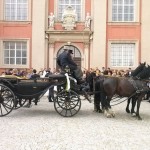 Hochzeitssängerin Wolfenbüttel